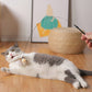 Set interattivo di giocattoli per gatti con simulazione di uccelli