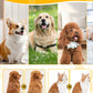 🐶 Pettine multifunzionale per districare e curare il pelo degli animali domestici 💈 Toelettatura senza fatica, cura per la salute del mantello del tuo animale domestico (50% di sconto)