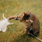 Set interattivo di giocattoli per gatti con simulazione di uccelli