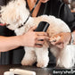 🐶 Pettine multifunzionale per districare e curare il pelo degli animali domestici 💈 Toelettatura senza fatica, cura per la salute del mantello del tuo animale domestico (50% di sconto)