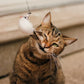 Set interattivo di giocattoli per gatti con simulazione di uccelli