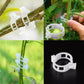 Clip Sicure in Plastica per Piante