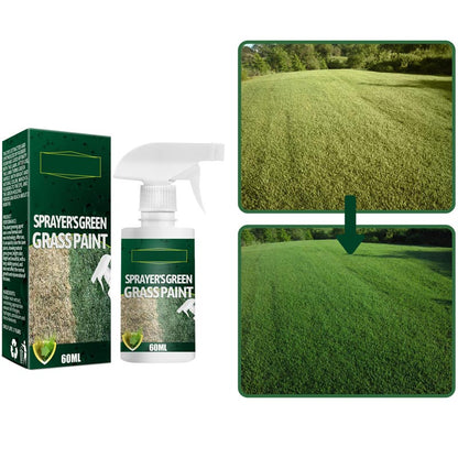 🔥Offerta speciale: 50% di sconto sullo spray vernice verde erba