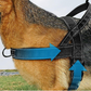 Imbracatura tattica per cani resistente con maniglia