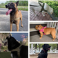 Imbracatura tattica per cani resistente con maniglia