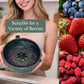 🍓 65% OFF NOW!🔥Berry Swirl Washing & Serving Bowl – Dual-purpose colander design, non-slip base & perfect for rinsing, draining & serving berries or snacks 🥣