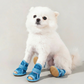 Scarpe per cani in rete traspirante antiscivolo