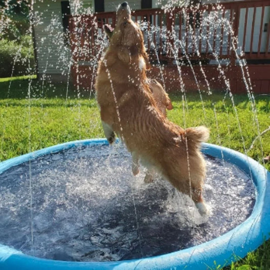 🏊 Tappetino pieghevole per piscina esterna e irrigatore d'acqua – doppia funzione, divertimento assicurato! 💦🌿✨