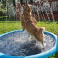 🏊 Tappetino pieghevole per piscina esterna e irrigatore d'acqua – doppia funzione, divertimento assicurato! 💦🌿✨