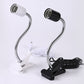 Reptile Heat Lamp for Turtles