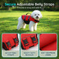 🐶 Giubbotto di Salvataggio per Cani ad Alta Galleggiabilità 🌊🛡️ - Ripstop Resistente | Maniglia Soccorso | 5 Colori | Taglie XS-2XL | Supporto Ergonomico | 50% DI SCONTO