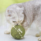 🧶Palla Gigante di Erba Gatta Naturale 10 cm 🐱🌿 - Masticabile & Interattiva | Allevia lo Stress & Pulisce i Denti | 100% Sicura e Atossica | Ideale per Gatti di Tutte le Età | 50% DI SCONTO 💚