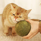 🧶Palla Gigante di Erba Gatta Naturale 10 cm 🐱🌿 - Masticabile & Interattiva | Allevia lo Stress & Pulisce i Denti | 100% Sicura e Atossica | Ideale per Gatti di Tutte le Età | 50% DI SCONTO 💚