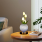 Elegant Tulip Bouquet Night Light