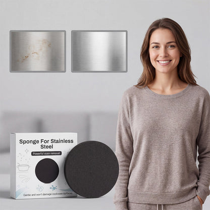Heavy-Duty Stainless Steel Cleaning Sponge